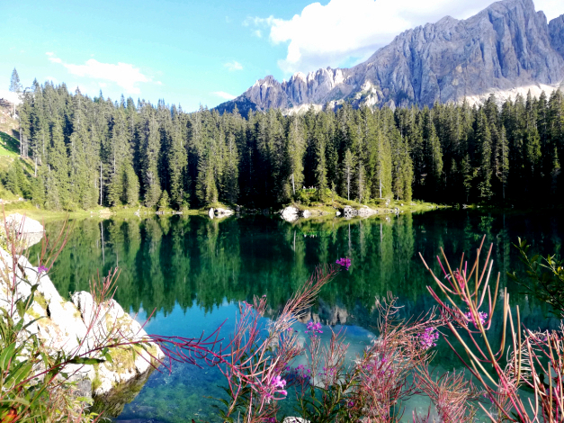 trekking trentino Lago di Carezza
