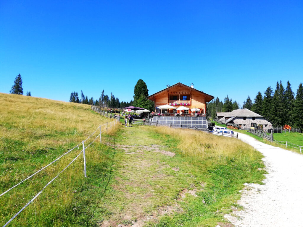 trekking trentino Passo Lavazè