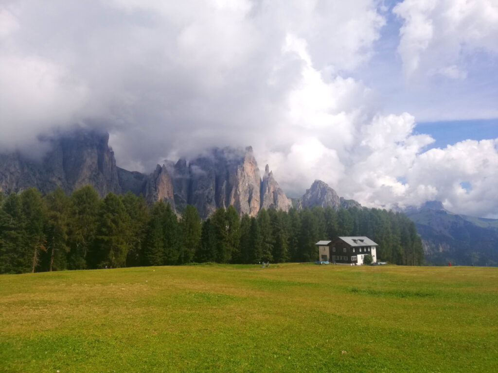 trekking trentino Vjolet
